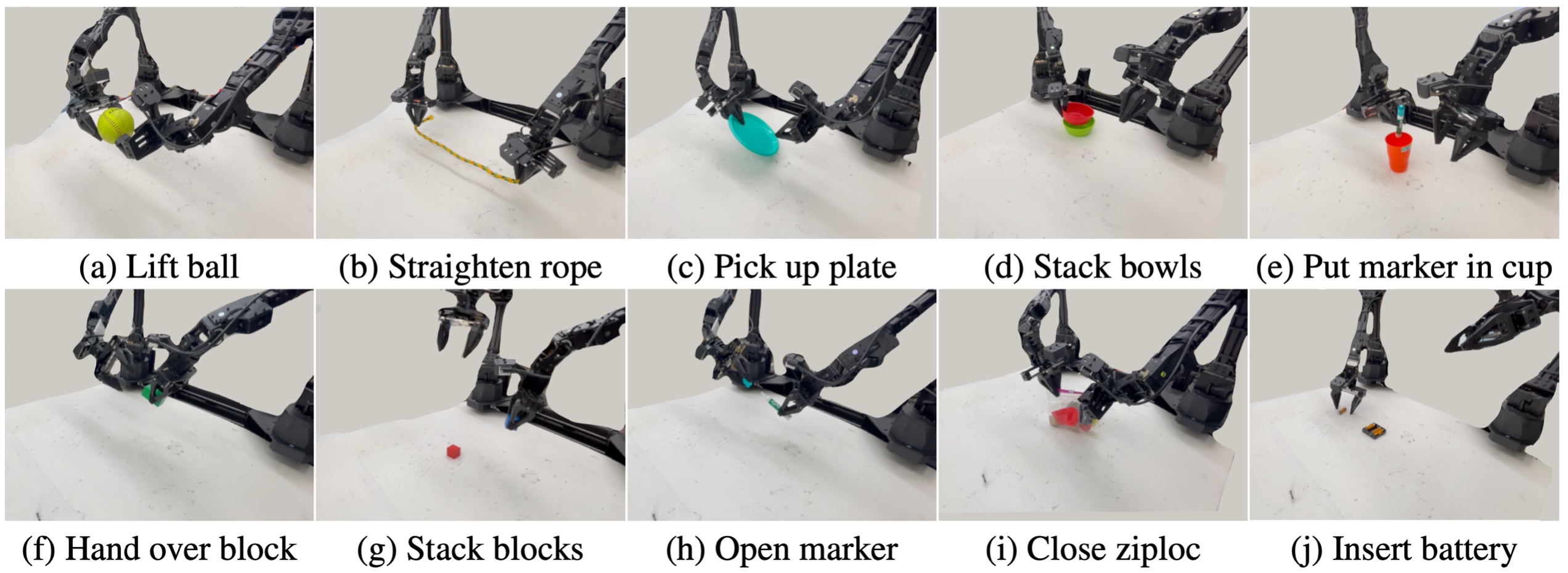 input image